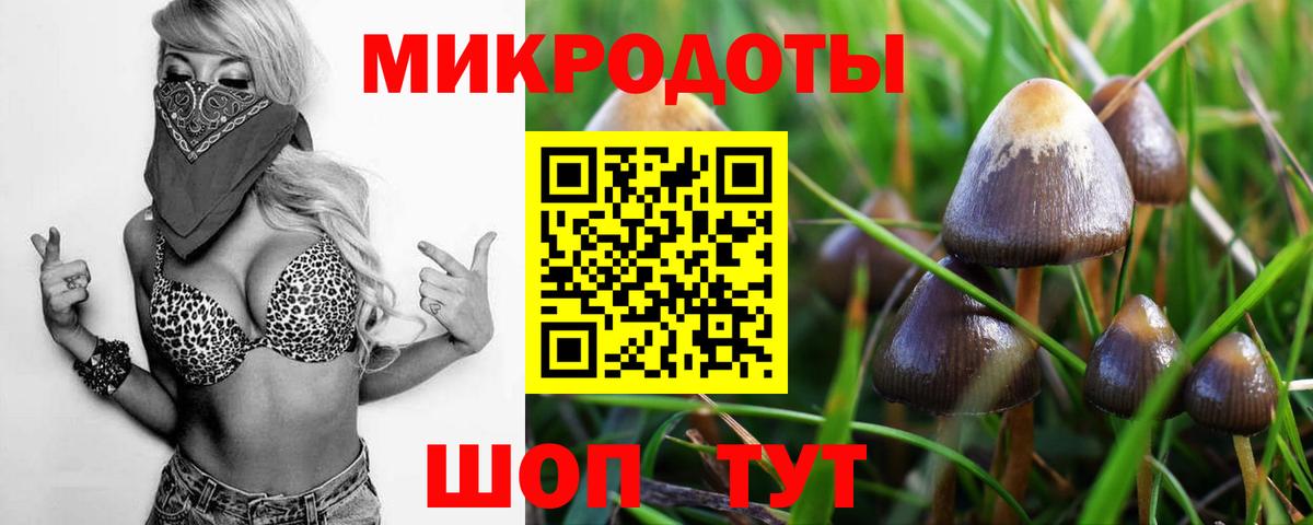 Электрогорск  Галлюциногенные грибы прущие грибы  Вход с VPN 